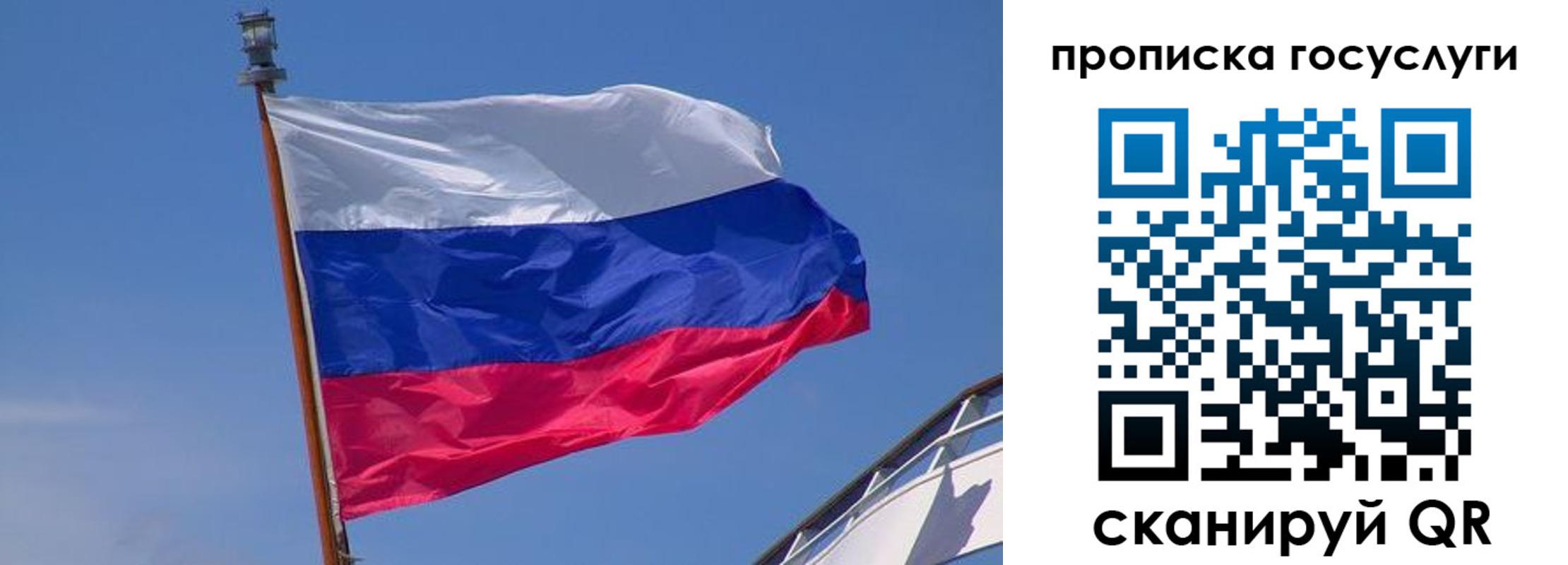 регистрация в Псковской области